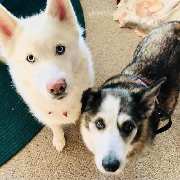 Meet your Posher, Karen - Picture 4 of 16